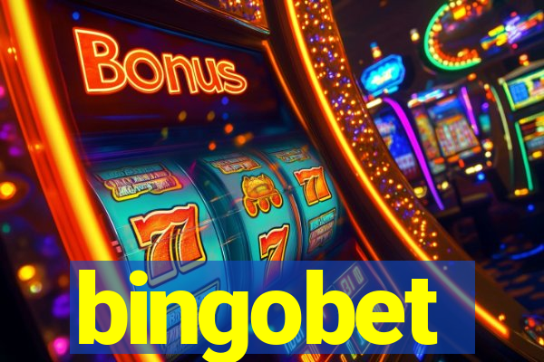 bingobet