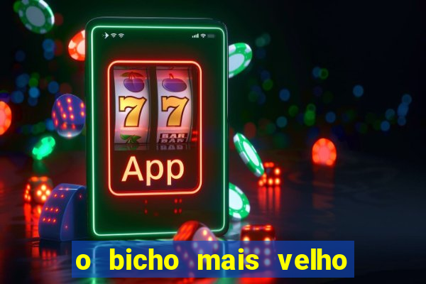 o bicho mais velho da loteria dos sonhos