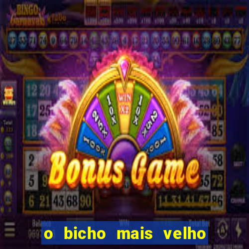 o bicho mais velho da loteria dos sonhos