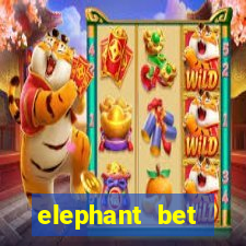 elephant bet aviator login