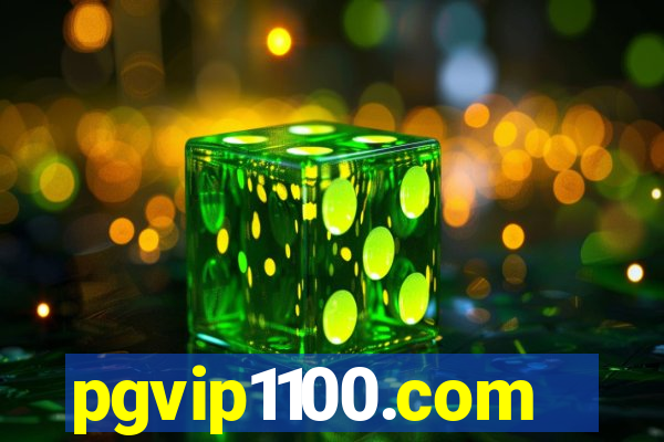 pgvip1100.com