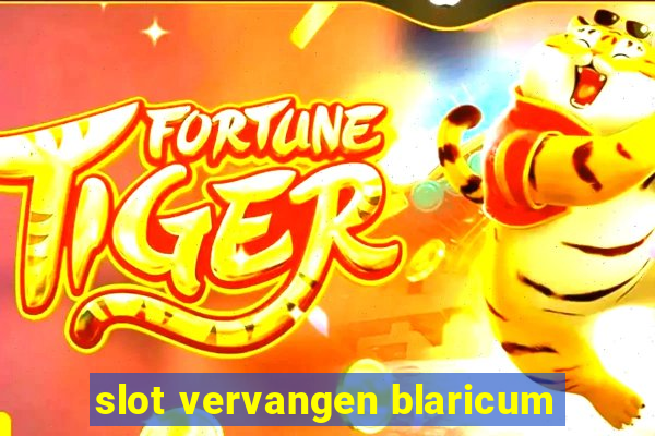 slot vervangen blaricum