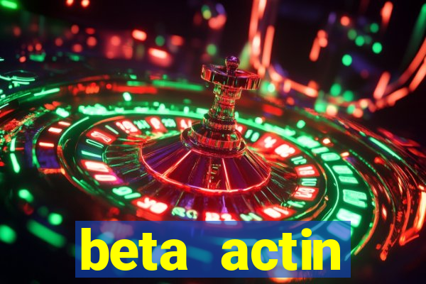 beta actin molecular weight