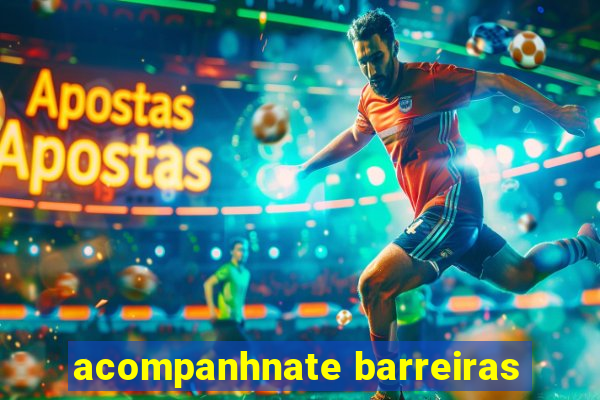 acompanhnate barreiras