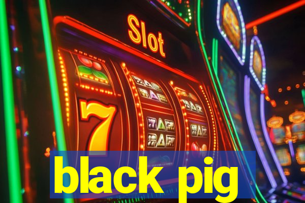 black pig