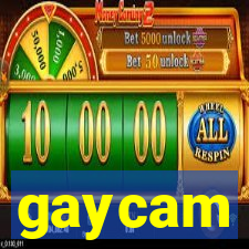 gaycam