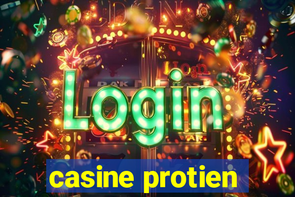 casine protien