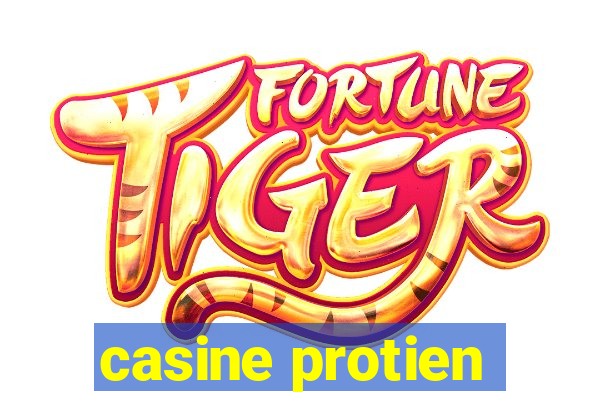 casine protien