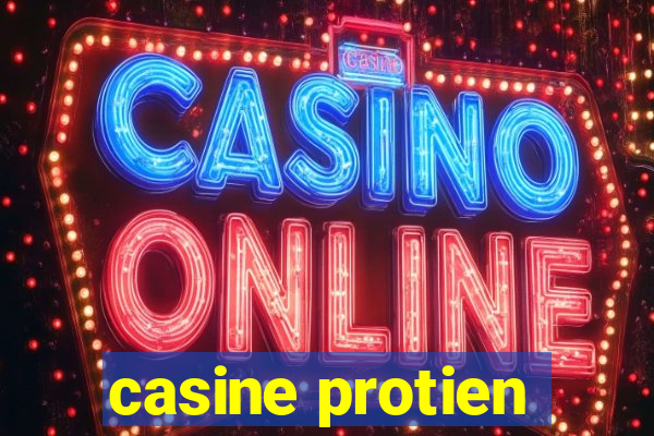 casine protien