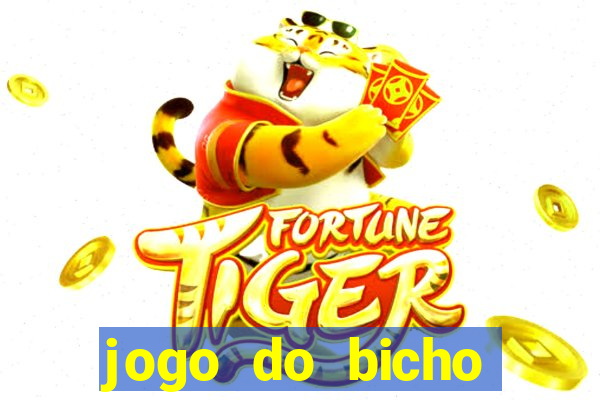 jogo do bicho crash mines