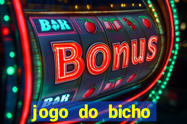 jogo do bicho crash bingo