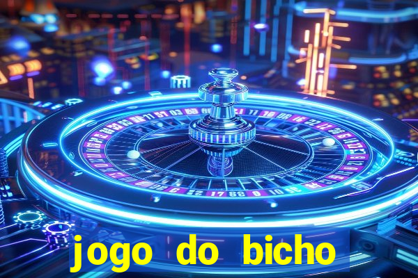 jogo do bicho crash bingo