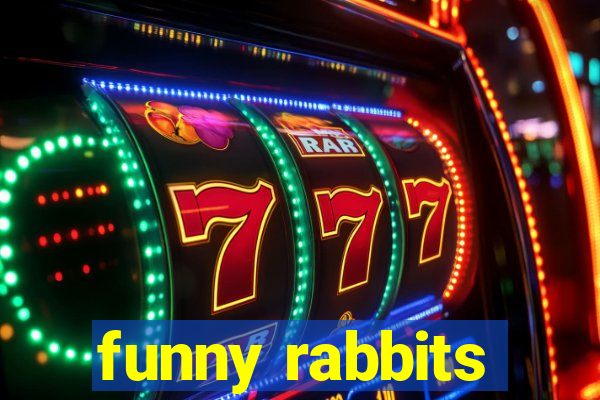 funny rabbits