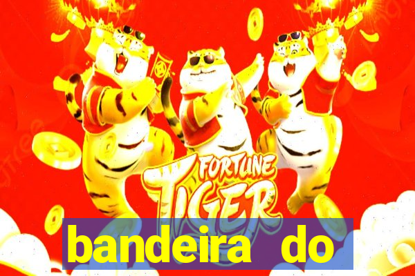 bandeira do corinthians gif