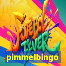 pimmelbingo