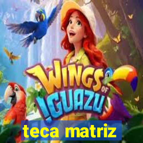 teca matriz