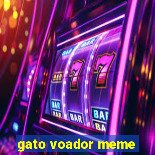 gato voador meme