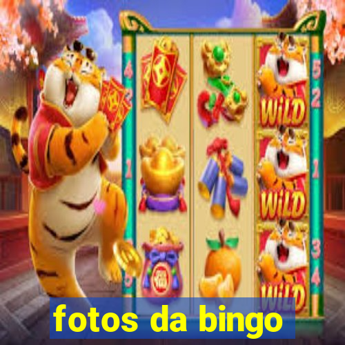 fotos da bingo