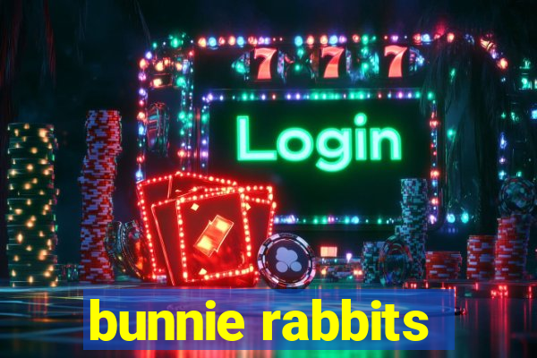 bunnie rabbits