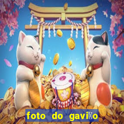 foto do gavi茫o do corinthians