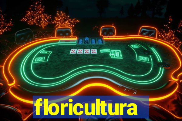 floricultura cruzeiro novo