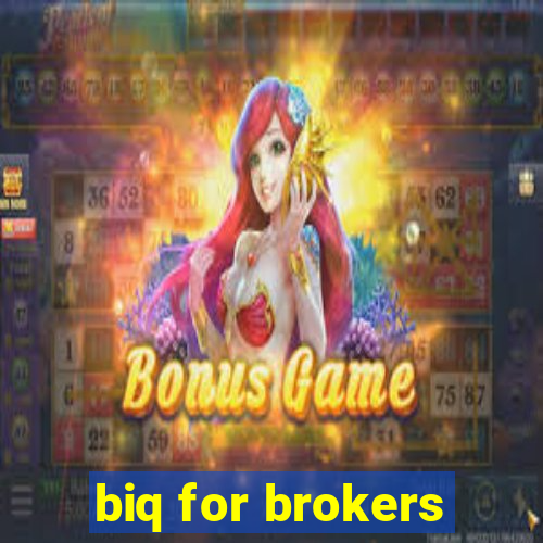 biq for brokers