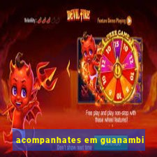 acompanhates em guanambi