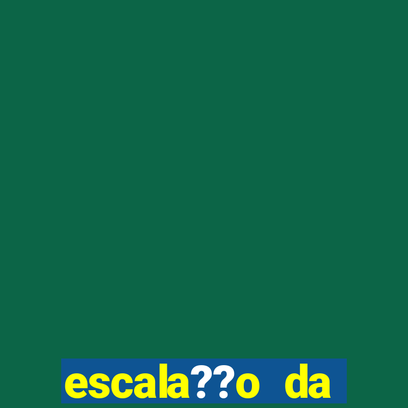 escala??o da bélgica hoje