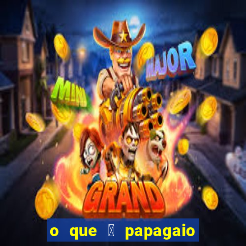 o que 茅 papagaio de pirata