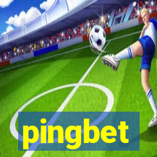 pingbet