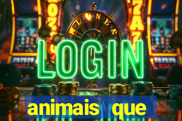 animais que produzem l茫