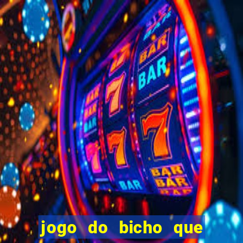 jogo do bicho que paga no pix