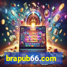 brapub66.com