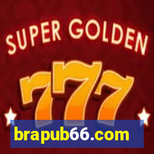 brapub66.com