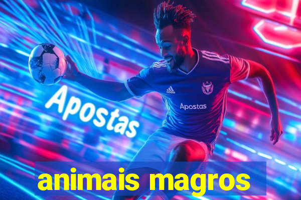 animais magros