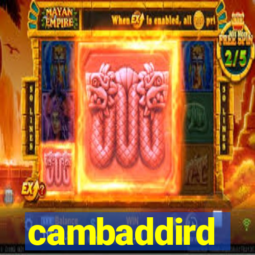 cambaddird