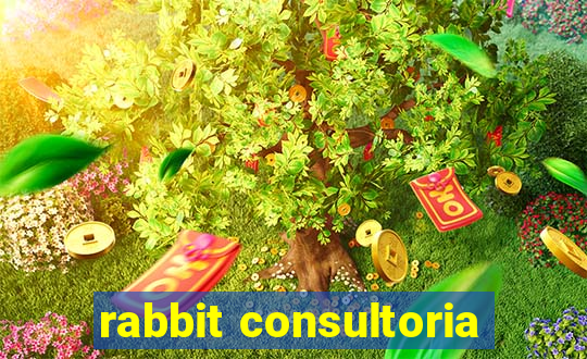 rabbit consultoria