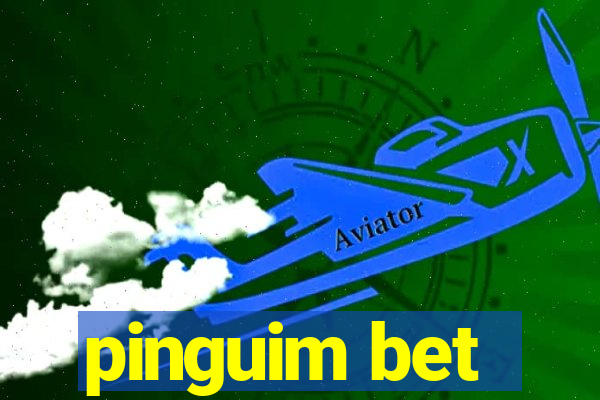 pinguim bet