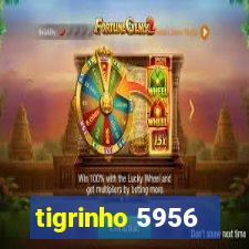 tigrinho 5956