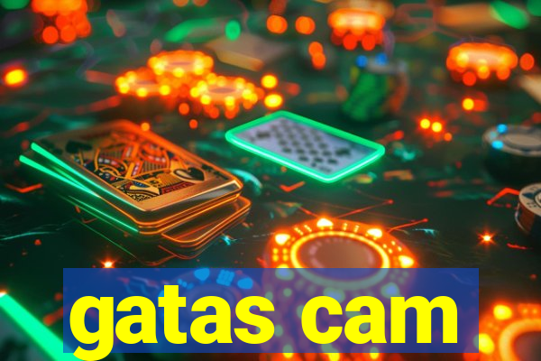 gatas cam