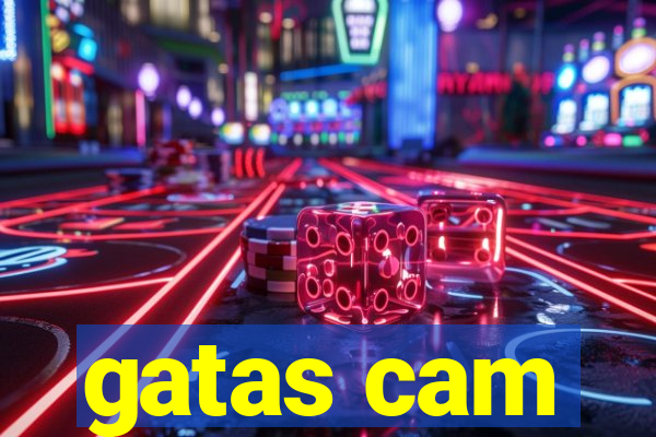 gatas cam