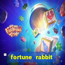 fortune rabbit ganhos 