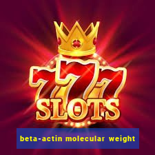 beta-actin molecular weight