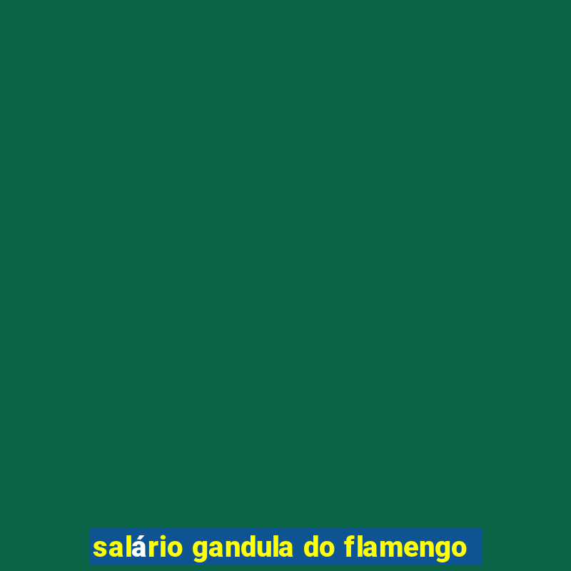 salário gandula do flamengo