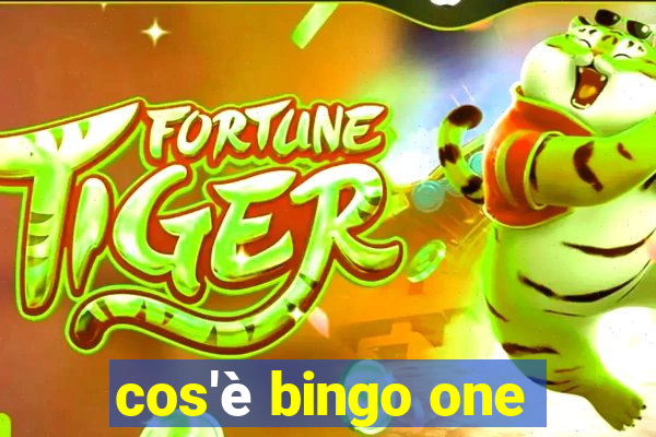 cos'è bingo one