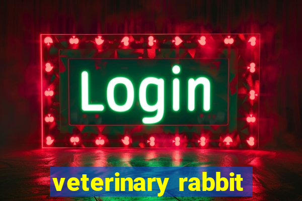 veterinary rabbit