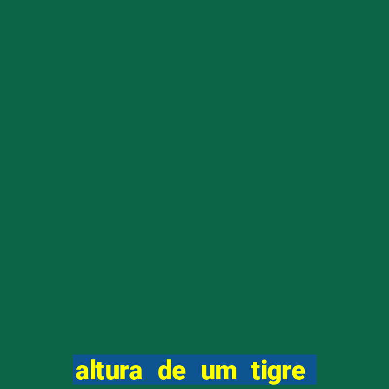 altura de um tigre em pé