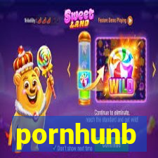 pornhunb