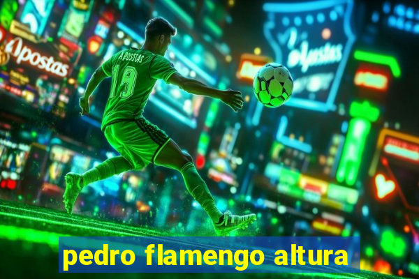 pedro flamengo altura