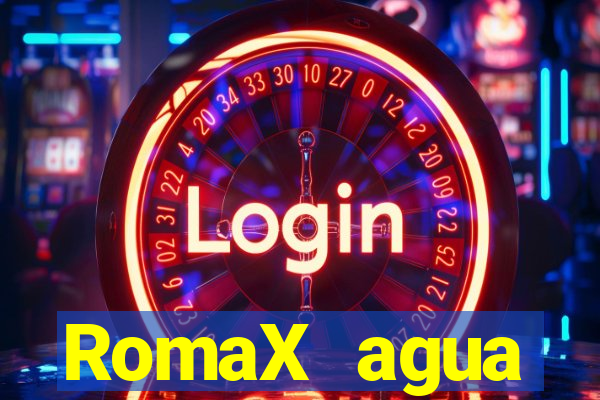 RomaX agua sanitaria fispq agua sanitaria romax